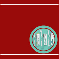 Petsie nagykereskedés, regisztráció