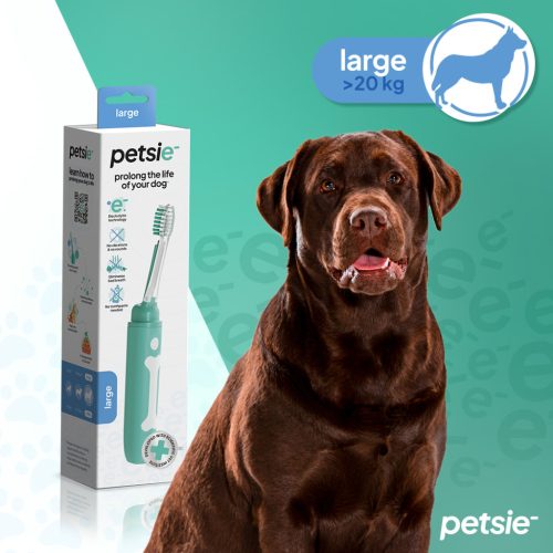 Petsie E-tech kutyafogkefe (L méretben  20+kg)