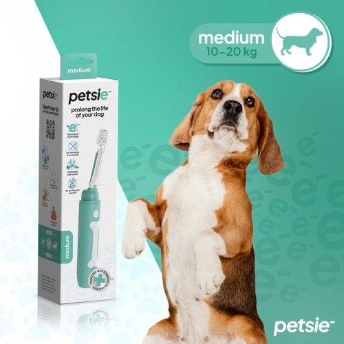 Petsie E-tech kutyafogkefe (M méretben  10-20kg)